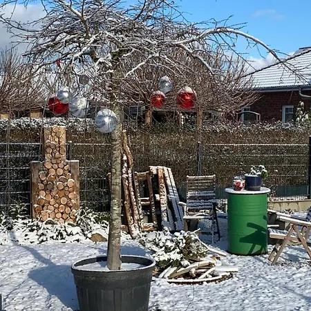 Ferienoase Zwischen Und Warnemuende * 罗斯托克